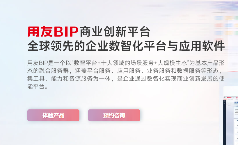 用友BIP丨数据创造新价值